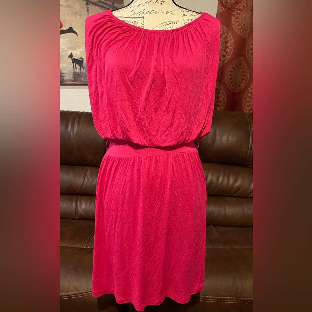 Issi Pink Sleeveless Dress